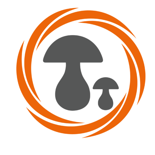cropped-logo-1.png