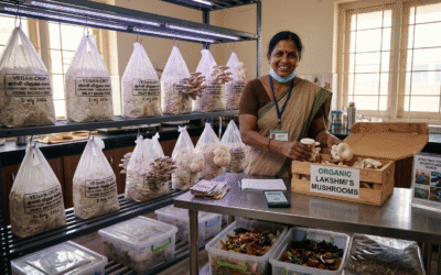 From Kitchen Waste to Cash Crop: How Indians Are Starting Profitable Mushroom Micro-Farms at Home in 2026