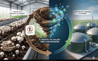From Spent Mushroom Substrate to Biogas: How Mushroom Farms Can Turn Waste Into Value