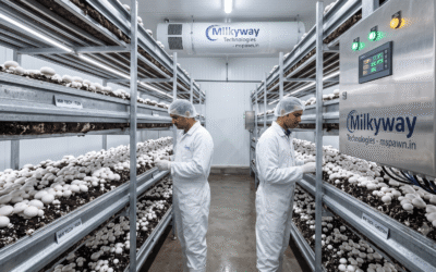 The Science of Nitrogen: Optimizing Compost for Higher Mushroom Biological Efficiency